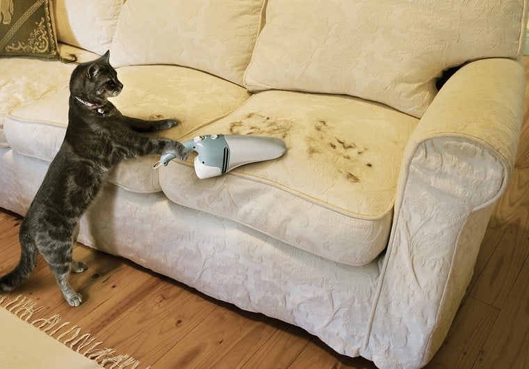 12 consigli utili per rimuovere i peli di gatto dai tessuti in casa