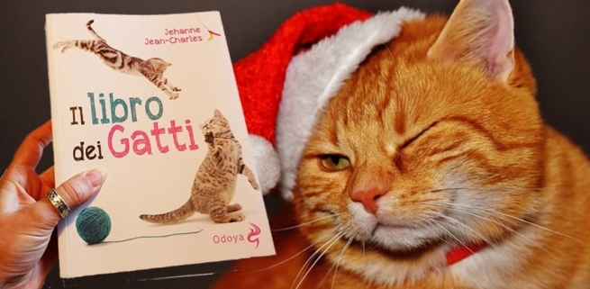 il libro dei gatti regalo di natale