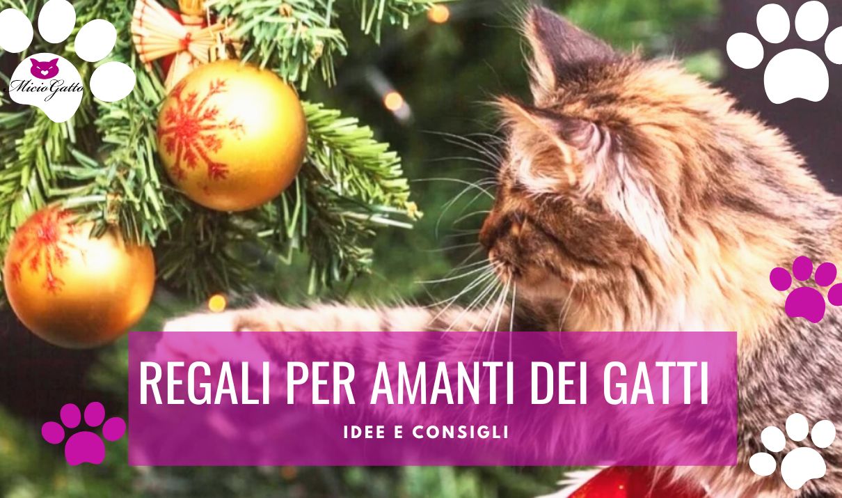 Regali di Natale per chi ama i gatti: oltre 20 idee! 