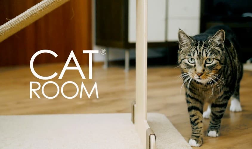 Catroom accessori gatto