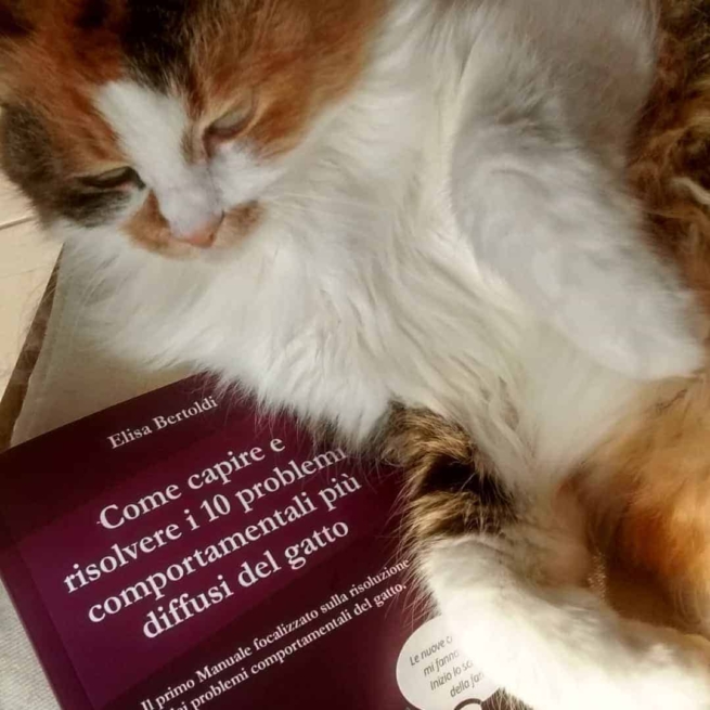 Manuale stampato comportamento gatto