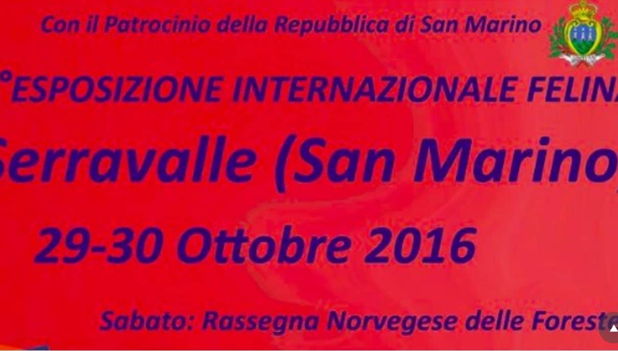 7° Esposizione internazionale felina di San Marino 2016