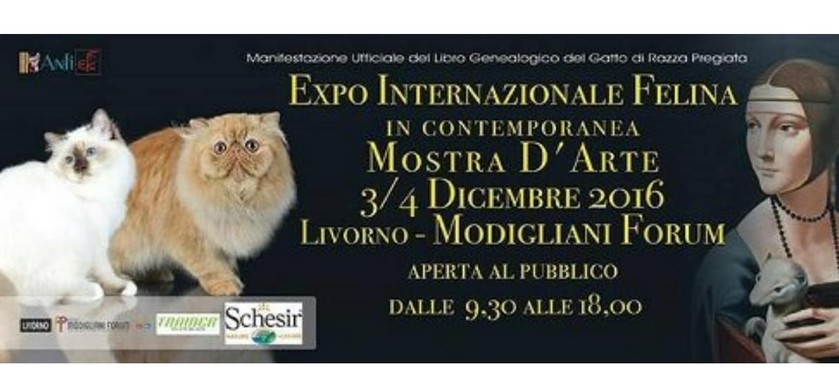 Expo Felina Internazionale 2016 Livorno