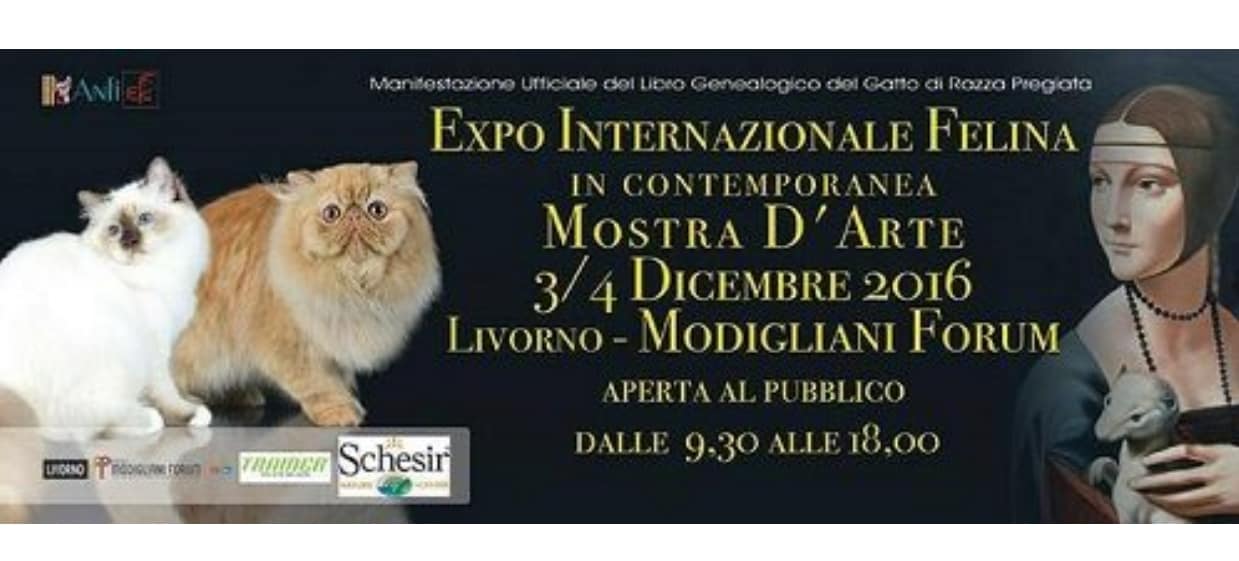 Expo Felina Internazionale 2016 Livorno