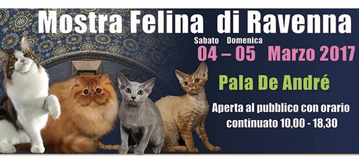 Expo Aristogatti mostra Felina di Ravenna 2017