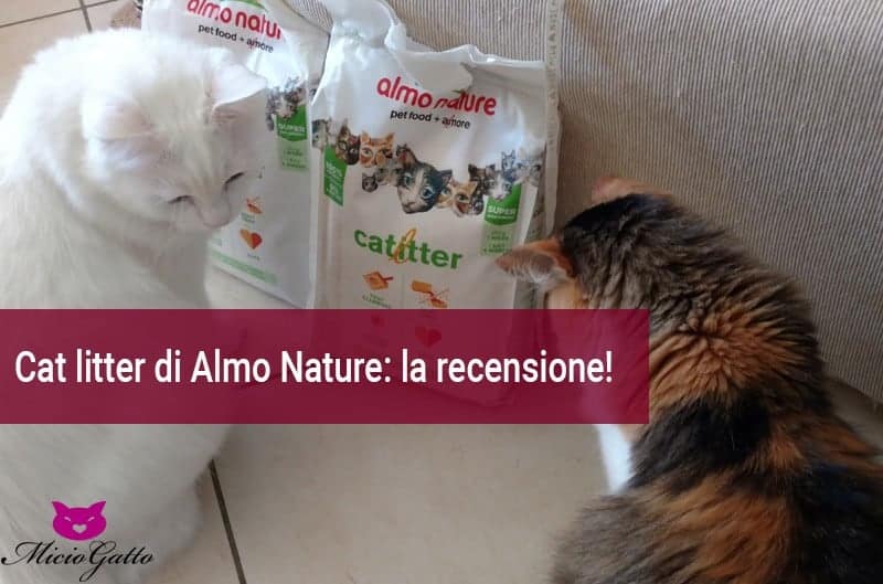 Cat litter Almo nature recensione-lettiera