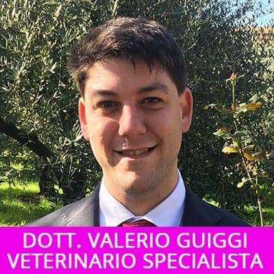 Consulenza Dott. Valerio Guiggi veterinario nutrizionista