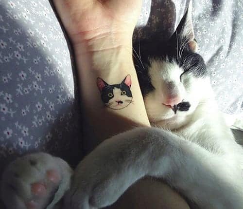 disegno del proprio gatto tatuato