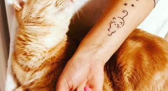 Tatuaggi di gatti, stilizzati o realistici: idee e immagini