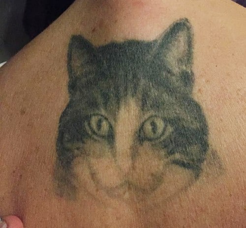 tatuaggio gatto realistico