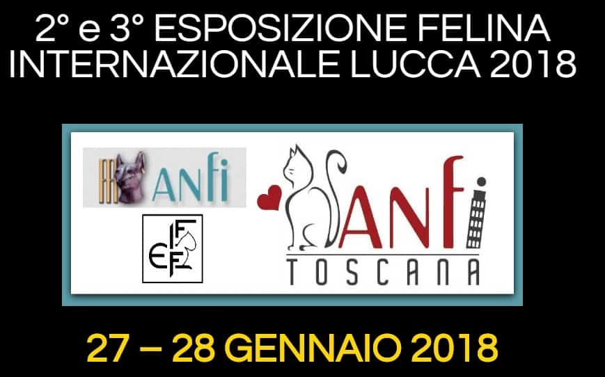 Esposizione Internazionale felina Lucca 2018