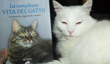 la complessa vita del gatto libro raffaella rizza