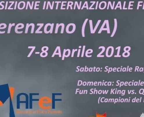 Esposizione Internazionale Felina Gerenzano 2018