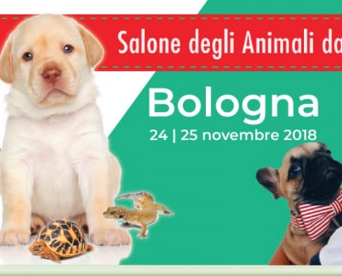 Pet Expo e Show Bologna 2018