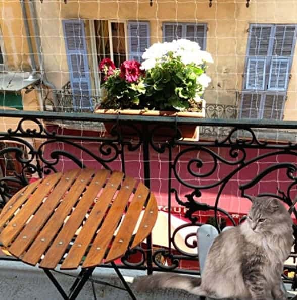 protezioni balconi per gatti