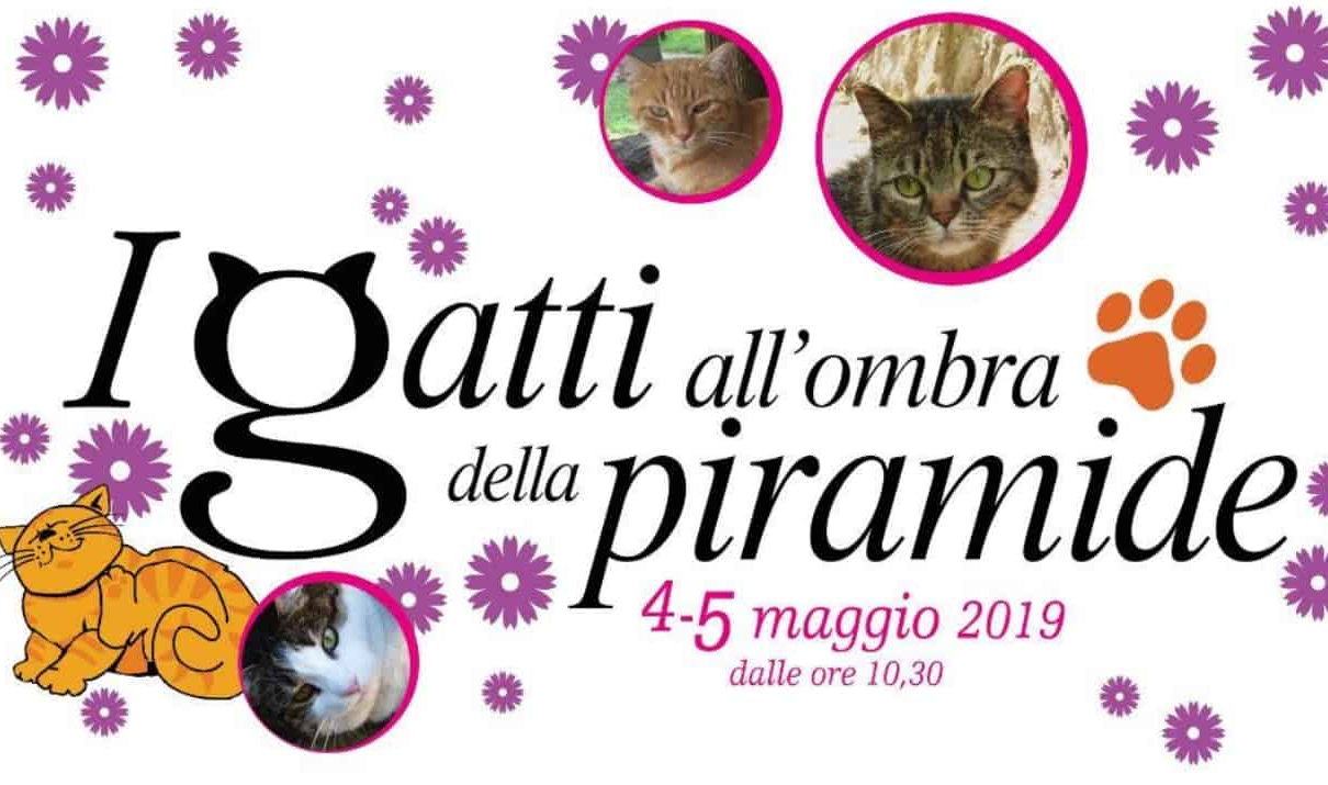 Mercatino I gatti ombra della Piramide Roma 2019