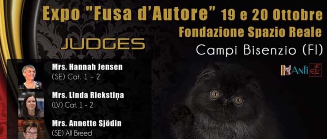 Esposizione Internazionale Felina di Campi Bisenzio Firenze 2019