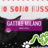 Gattile Milano Mondo Gatto e Parco Rifugio