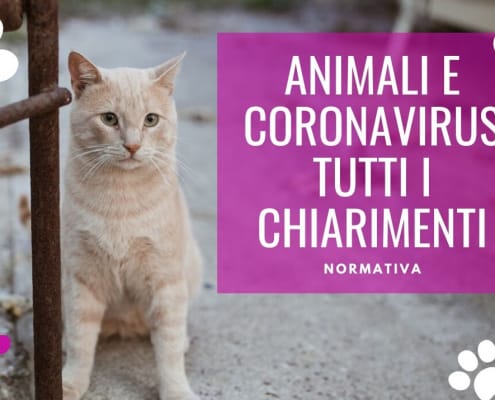 animali coronavirus enpa leggi normative vademecum