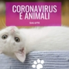 coronavirus e animali domestici contagio
