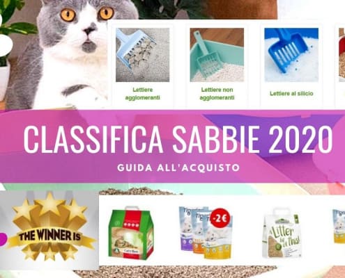 sabbia gatto 2020 classifica migliore