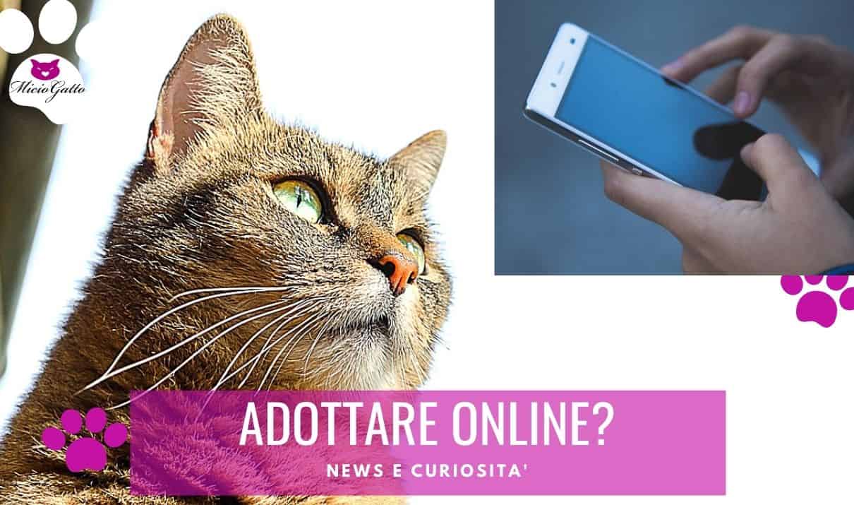 adottare gatto online coronavirus lockdown