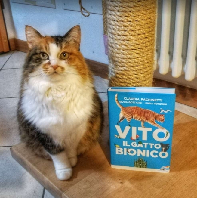 libro vito gatto bionico