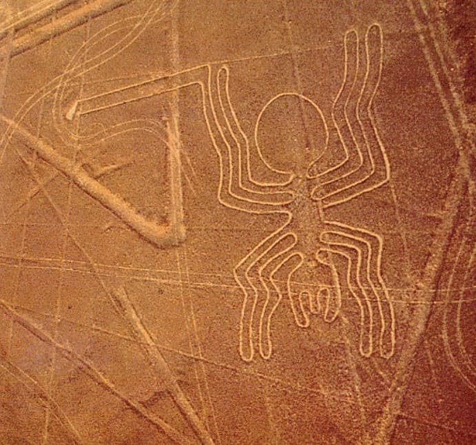 ragno linee di Nazca