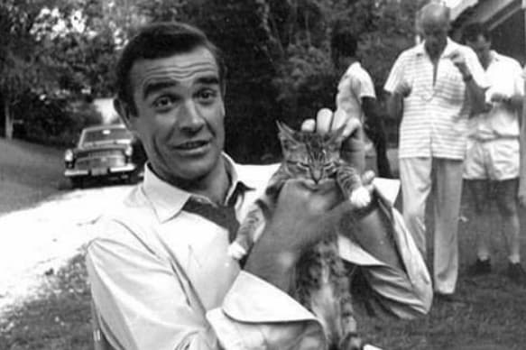 Sean Connery e i gatti