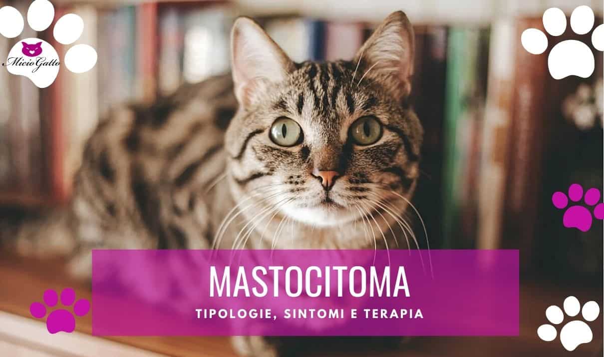 mastocitoma gatto terapia sintomi cutaneo splenico intestinale