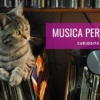 musica per gatti rilassante gatti stressati