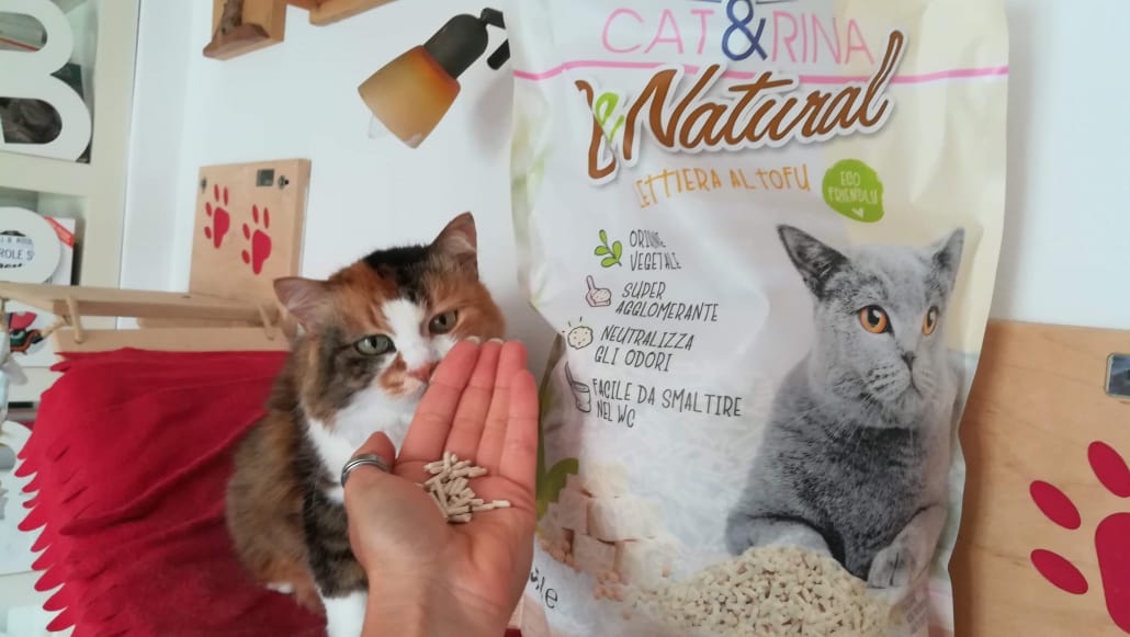 Lettiera biodegradabile per gatti al tofu