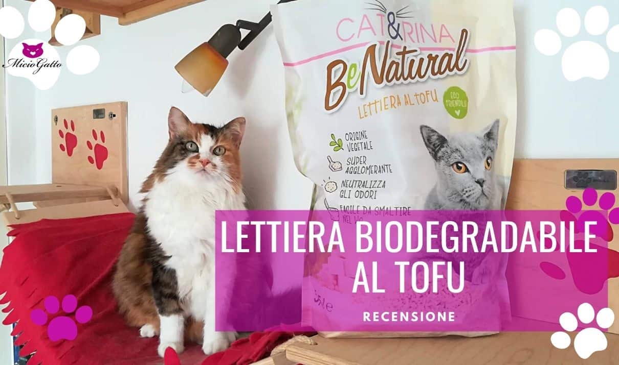 recensione lettiera biodegradabile per gatti al tofu benatural