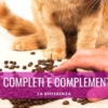 differenza tra cibi completi e cibo complementari per gatti