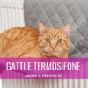 gatto termosifone protezione cuccia amaca lettino