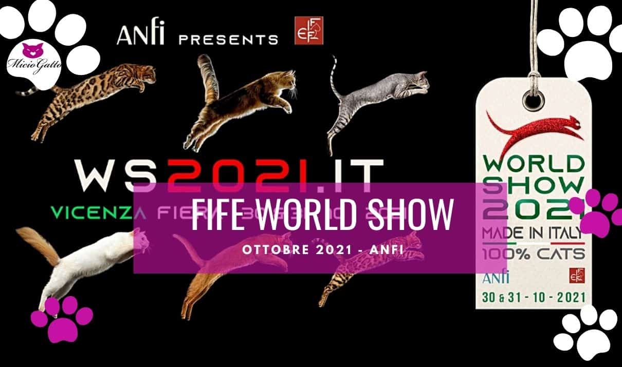 fife world show 2021 vicenza ottobre