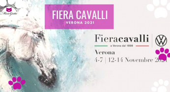 Fiera cavalli Verona 2021: biglietti, orari, programma