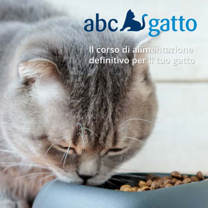 Corso alimentazione del gatto ABC gatto