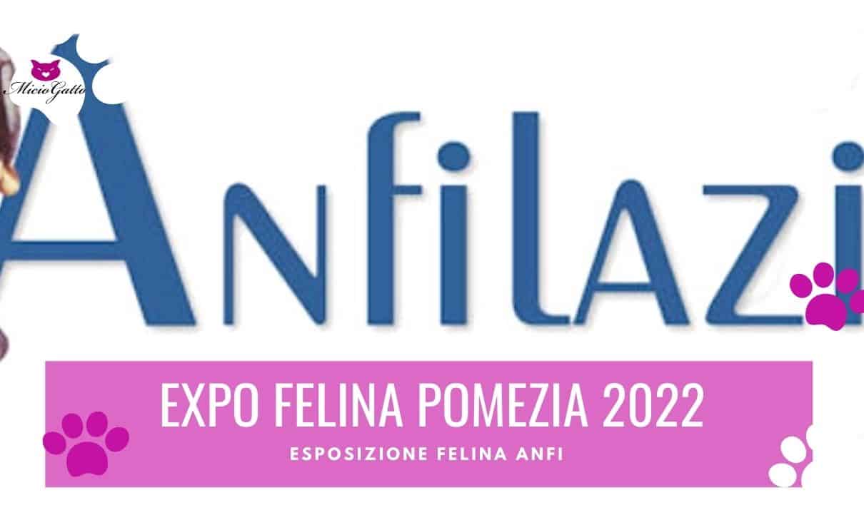 expo felina pomezia anfi 2022