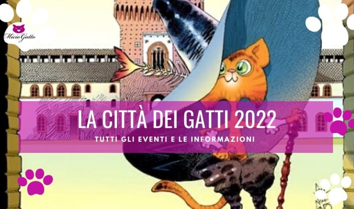 la citta dei gatti 2022 eventi date