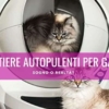 lettiera autopulente per gatti elettrica automatica