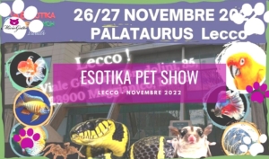 esotika pet show lecco 2002 novembre