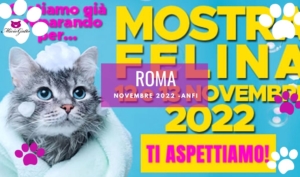 expo felina roma 2022
