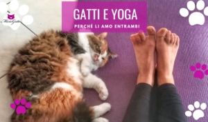 gatti yoga