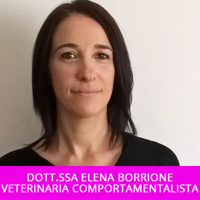 Dott.ssa Elena Borrione veterinaria comportamentalista