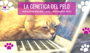 seminario online la genetica del pelo del gatto afef novembre 2022