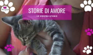 storie di amore per i gatti