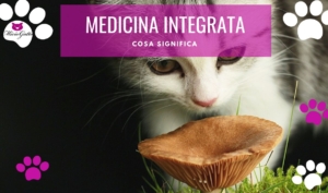 medicina veterinaria olistica integrata