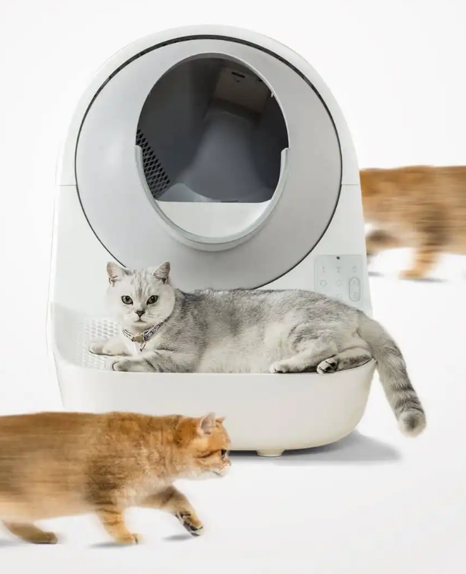 Toilette per gatti autopulente ComfyCat 
