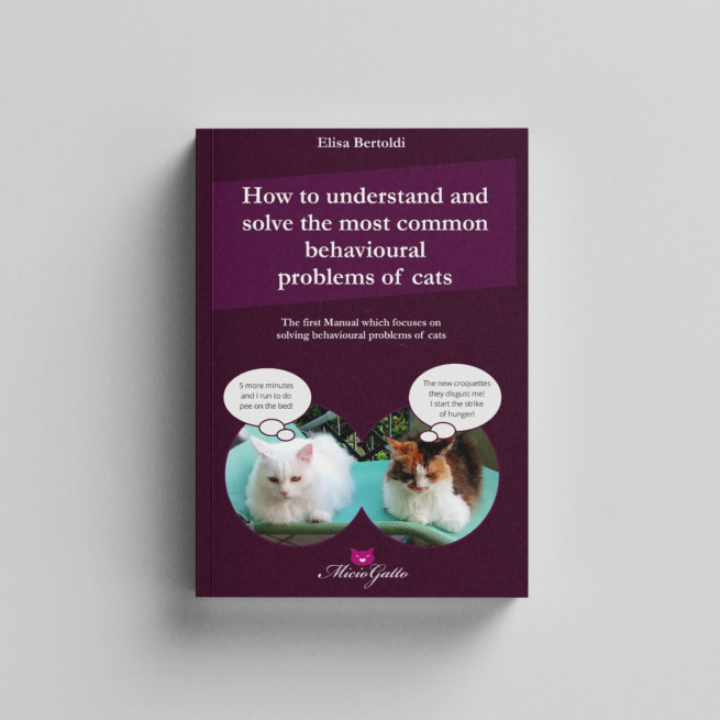 How to understand and solve the most common behavioural problems of cats